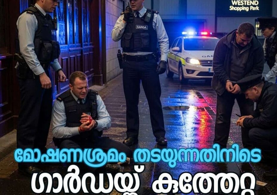 ബ്ലാഞ്ചാർഡ്‌സ്‌ടൗണിൽ മോഷണശ്രമം തടയുന്നതിനിടെ ഗാർഡയ്ക്ക് കുത്തേറ്റു