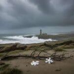 അയർലൻഡിന് ഇക്കൊല്ലവും വൈറ്റ് ക്രിസ്മസ് ഇല്ല; Met Éireann