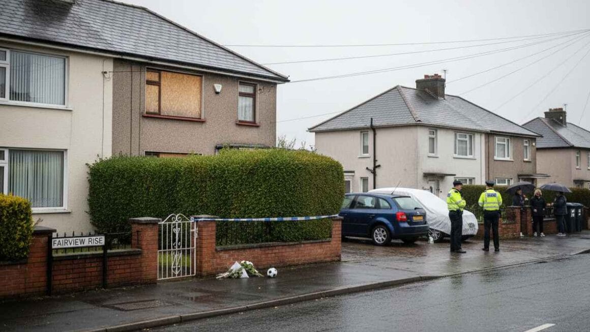 ഡബ്ലിനിൽ സംശയിക്കപ്പെടുന്ന കൊലപാതക-ആത്മഹത്യയിൽ അച്ഛനും മകനും മരിച്ച നിലയിൽ