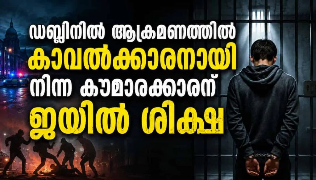 ഡബ്ലിൻ പെട്രോൾ സ്റ്റേഷനിൽ യുവാവിന് നേരെ ഉണ്ടായ അതിക്രൂരമായ ആക്രമണത്തിൽ  കാവൽക്കാരനായി  നിന്ന കൗമാരക്കാരന് ജയിൽ ശിക്ഷ