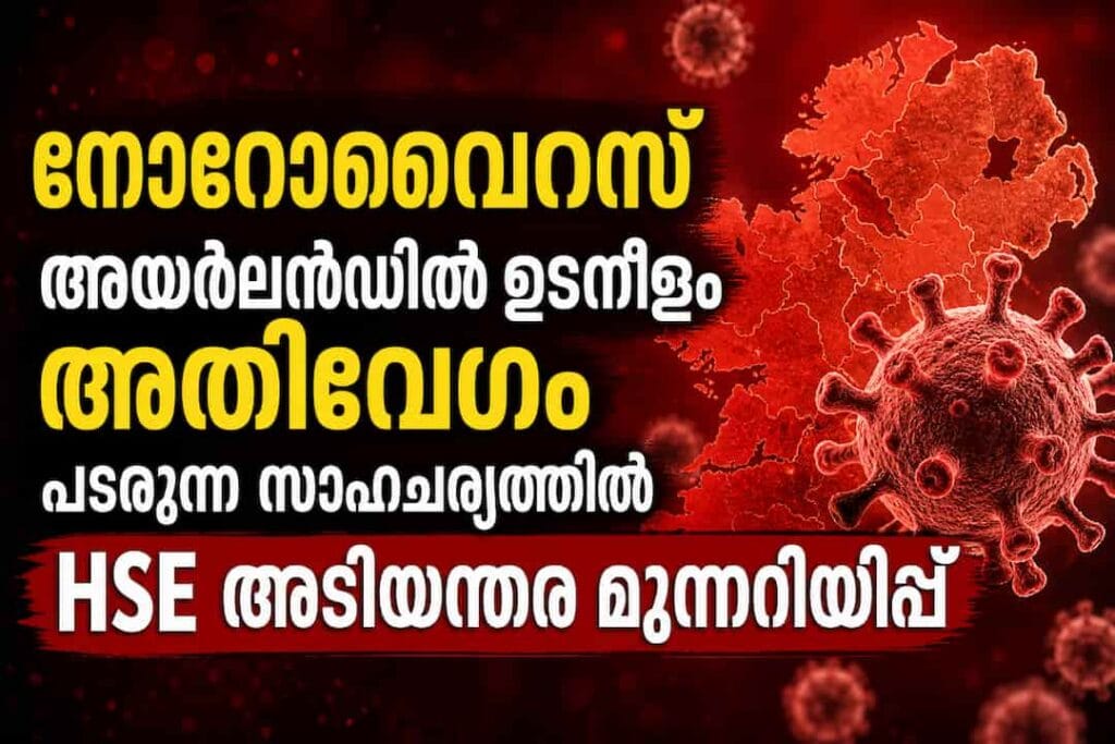 നോറോവൈറസ് അയർലൻഡിൽ ഉടനീളം അതിവേഗം പടരുന്ന സാഹചര്യത്തിൽ HSE അടിയന്തര മുന്നറിയിപ്പ്