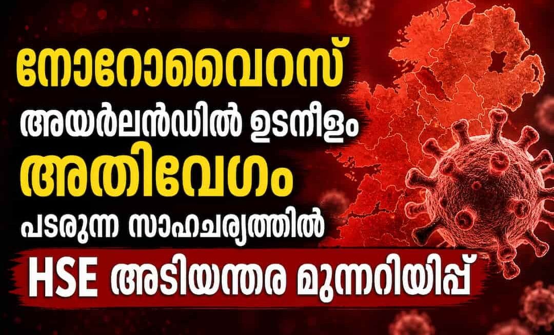 നോറോവൈറസ് അയർലൻഡിൽ ഉടനീളം അതിവേഗം പടരുന്ന സാഹചര്യത്തിൽ HSE അടിയന്തര മുന്നറിയിപ്പ്