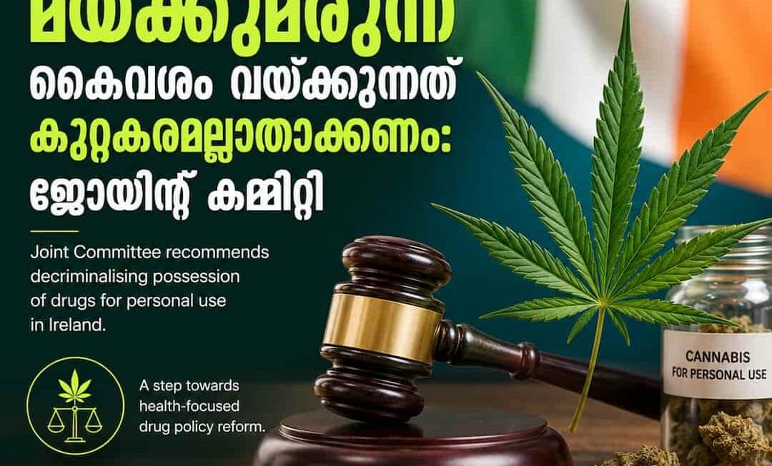 അയർലണ്ടിൽ സ്വന്തം ഉപയോഗത്തിന് മയക്കുമരുന്ന് കൈവശം വയ്ക്കുന്നത് കുറ്റകരമല്ലാതാക്കണം: ജോയിന്റ് കമ്മിറ്റി റിപ്പോർട്ട് പുറത്ത്