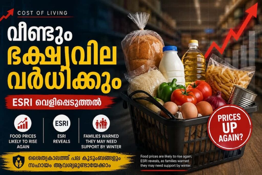 അയർലണ്ടിൽ  ഭക്ഷ്യവില വീണ്ടും കുതിച്ചുയരുമെന്ന് ESRI മുന്നറിയിപ്പ്; ശൈത്യകാലത്തിന് മുൻപ് സർക്കാർ സഹായം വേണ്ടിവന്നേക്കാം