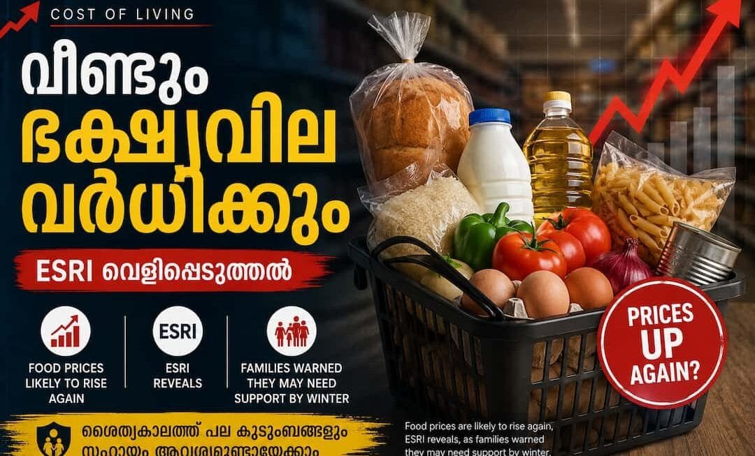 അയർലണ്ടിൽ  ഭക്ഷ്യവില വീണ്ടും കുതിച്ചുയരുമെന്ന് ESRI മുന്നറിയിപ്പ്; ശൈത്യകാലത്തിന് മുൻപ് സർക്കാർ സഹായം വേണ്ടിവന്നേക്കാം