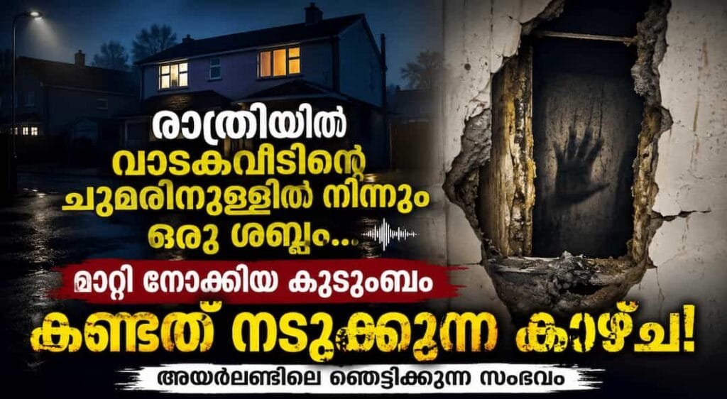 രാത്രിയിൽ വാടകവീടിന്റെ ചുമരിനുള്ളിൽ നിന്നും ഒരു ശബ്ദം; മാറ്റി നോക്കിയ കുടുംബം കണ്ടത് നടുക്കുന്ന കാഴ്ച! അയർലണ്ടിലെ ഞെട്ടിക്കുന്ന സംഭവം